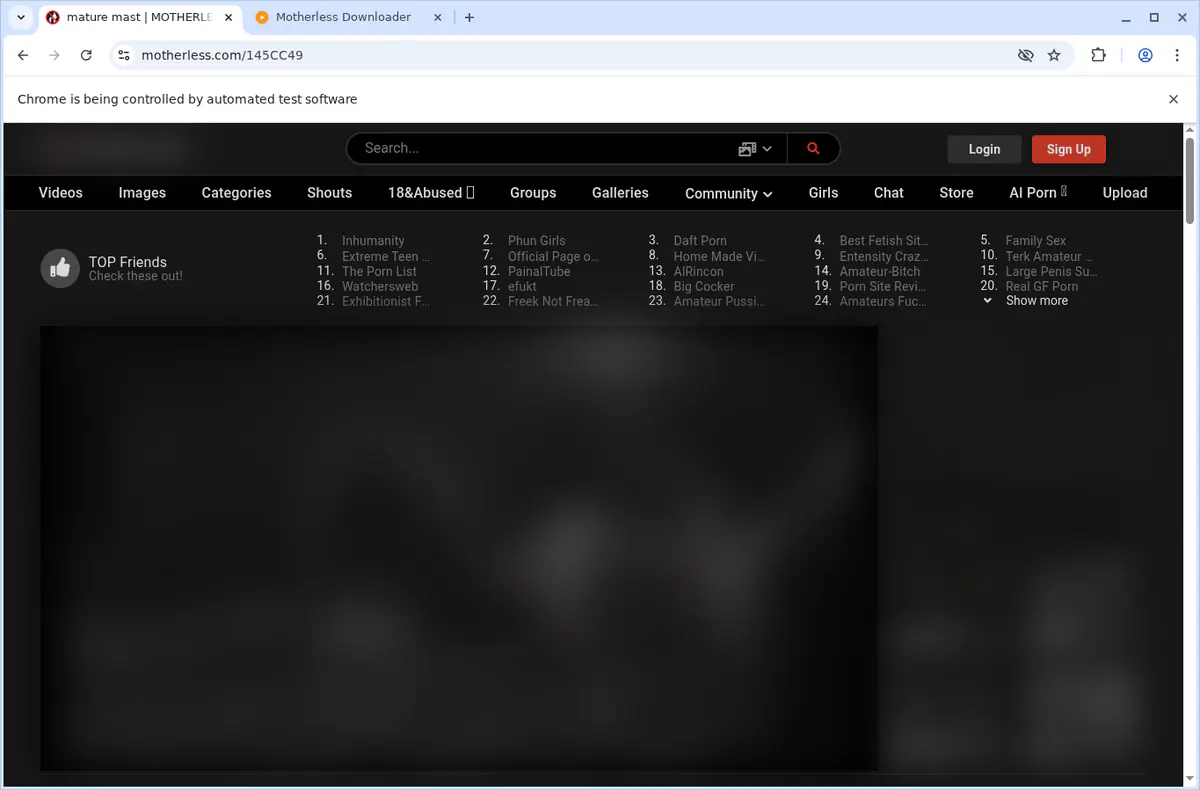 Motherless Video Downloader browser extension screenshot 3