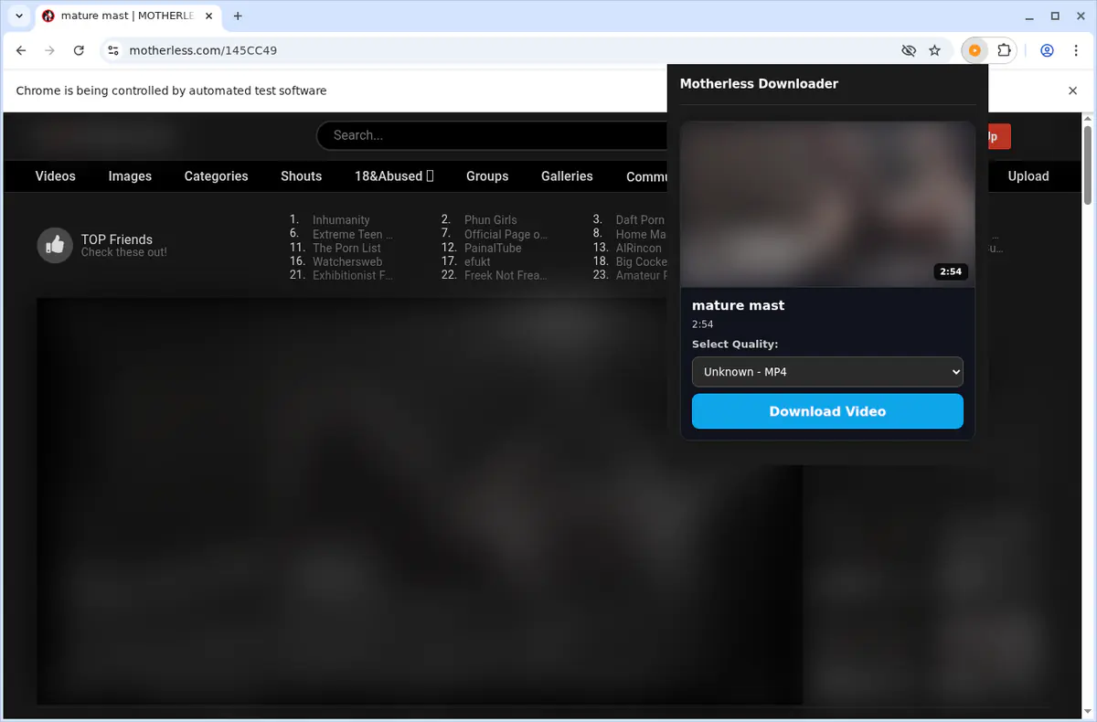 Motherless Video Downloader browser extension screenshot 4